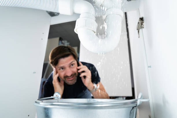 Best Drain Cleaning Services  in Umatilla, FL