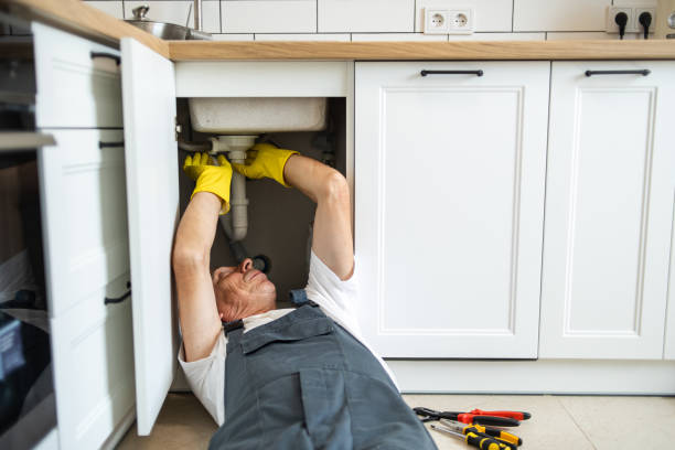 Best Plumbing Inspection Services  in Umatilla, FL